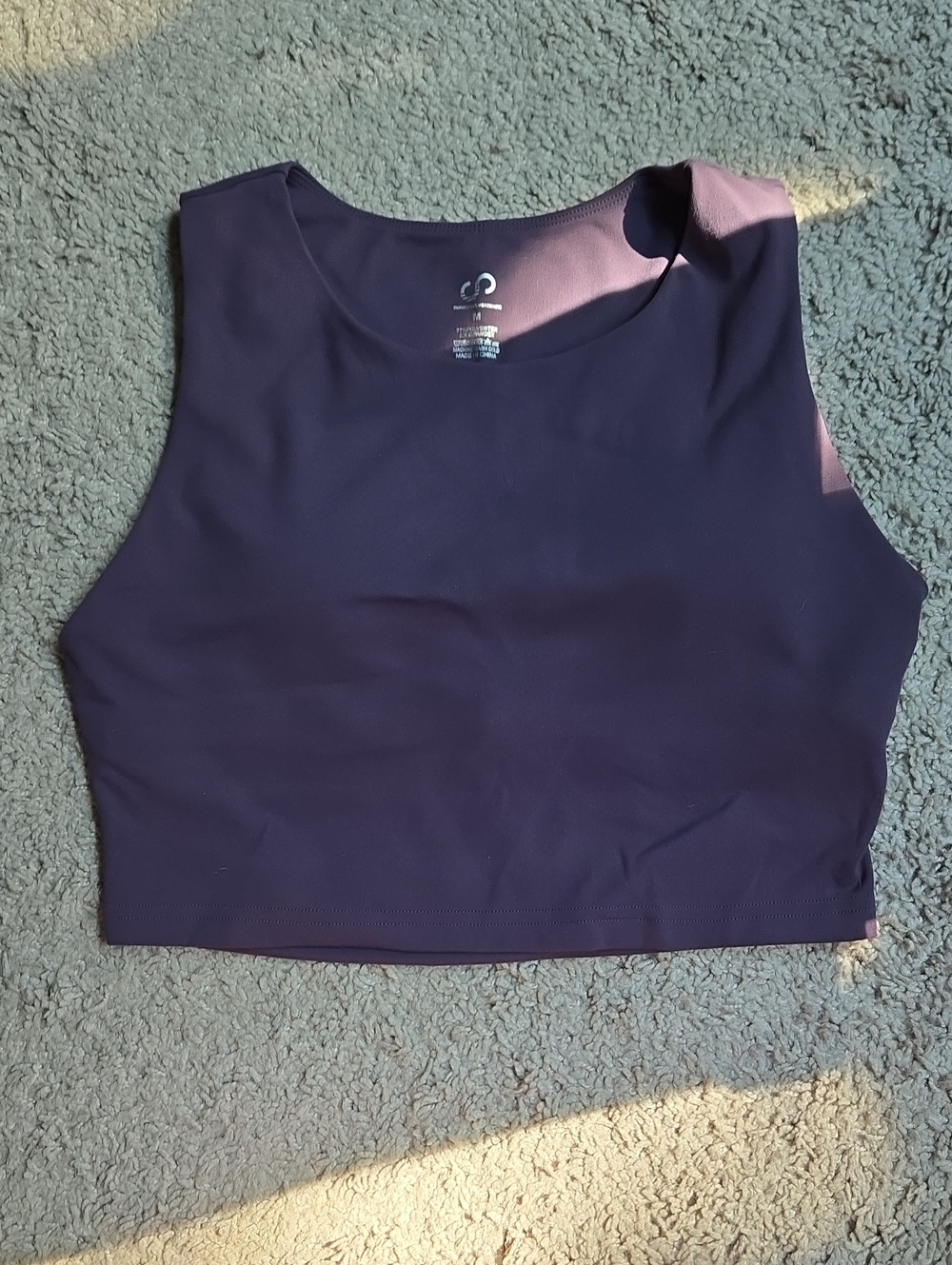 Curves And Combatboots Purple Crop Sports Bra